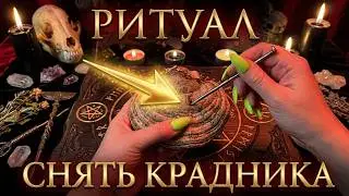 КРАДНИКИ. КАК УБРАТЬ КРАДНИКА, ПАРАЗИТА.