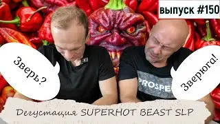 150 Дегустация Superhot Beast SLP 14.08.2024