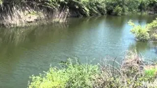 Valle del Tirso a Silì