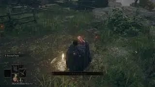 Elden Ring: PVP stream