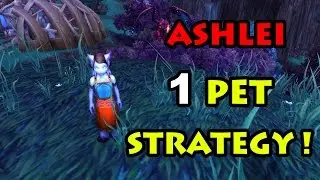 Tamer Ashlei 1 Pet Guide Powerleveling