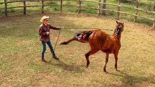 SHE TRIED TO KICK ME! | Training A 2 Year Old Filly [Part 1]