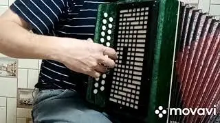 Гармонь Ивушка. Обзор.