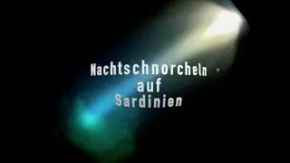 Nachtschnorcheln auf Sardinien in 360°