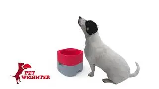 Pet Weighter: No More Moving Meals