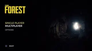 1 am The Forest (Part 1)