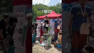 Забрал с улицы собаку