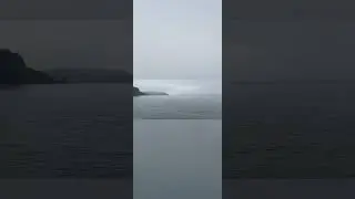 Бухта Безымянная. Дунай.