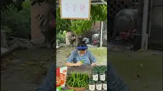 Chinese food chili faniy short video viral #china #chili #short #video #viral#faniy #shprt