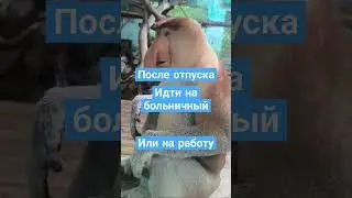 27 июля 2024 г.