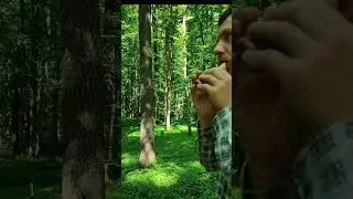 Little ocarina in the forest🌳💚