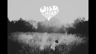 WILD OF HEART CHILDREN'S PHOTOGRAPHY PORTRAITS