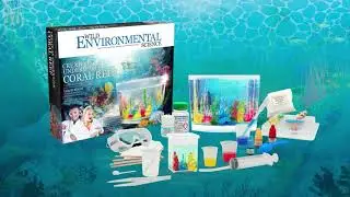 WES17XL Create an Underwater Coral Reef