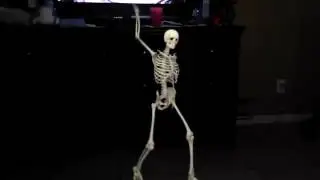 FxGuru Video