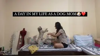 A DAY IN MY  LIFE AS A DOG MOM // EXPLORING DHARAMSALA  //tibetan vlogger