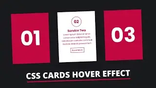 CSS Card Hover Effects Tutorial | CSS Hover Effects