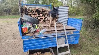 attention le chef Arthur et la fendage de merisier #forestmen#bucheron #forestier
