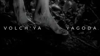 VOLCH'YA YAGODA Teaser