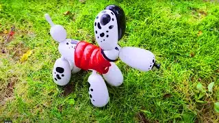 What Is This Pet? - It's Squeakee The Balloon Dog