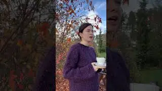 Сейчас или никогда