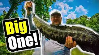 Mr. Peeperz Snakehead Creeper, Slaying Snakehead Dragons