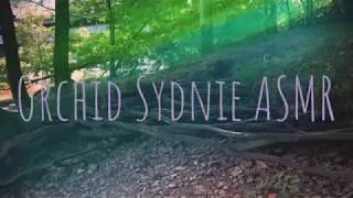 ASMR in the Forest - hand movements, layered sounds, finger flutters, no talking