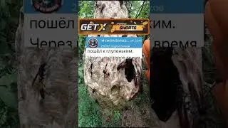 В борделе #анекдоты #шортсы #приколы