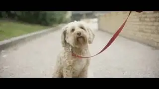 Tu mejor amigo viaja en taxi | #Pidetaxi