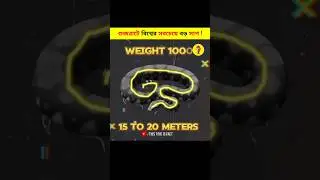World Largest Snake in Gujarat #shorts #facts