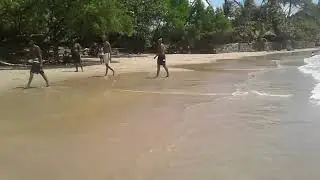Beach Day