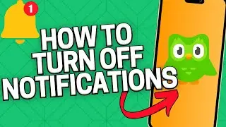 How to Turn off Duolingo Notifications (2024)