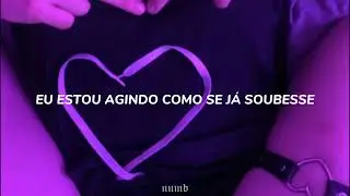 Doja Cat - Streets x BTS Blood Sweat And Tears  (Speed Up/Legendado)