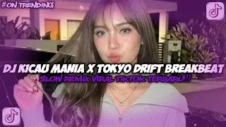 DJ KICAU MANIA X TOKYO DRIFT BREAKBEAT DROP BKP VIRAL TERBARU 2026