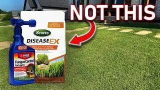 How To Easily Improve Your Lawn In Only 5 Simple Steps