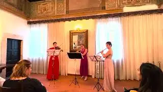 J. Haydn: London Trio No. 1. Performed by Viva Trio