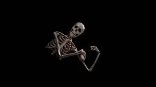 Bad to the bone