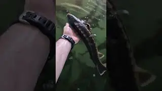 #узв