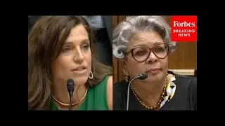 'Do You Need An ID To Rent An Apartment?': Nancy Mace Asks Witness Rapid-Fire Questions About ID