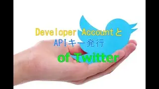 【8分で】Twitter Developerアカウントの作成から、APIキー発行方法