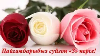 Пайгамбарыбыз суйгон 