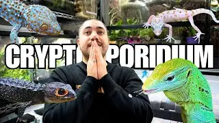 CONTAGIOUS DEADLY DISEASE spread in my REPTILE ROOM | Cryptosporidium in Reptiles