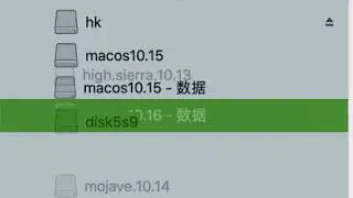 mac os big sur bug