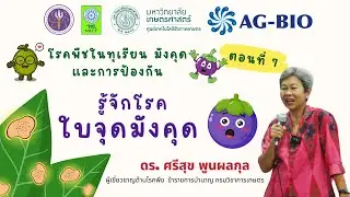 โรคใบจุดมังคุด
