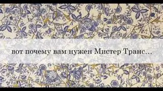 мистр транс