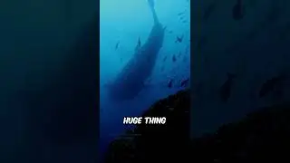 THE AURA MONSTER 😱 #creature #thalassophobia #fishing #shark