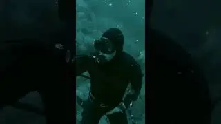 hampir di serang hiu raksasa | shark attack 🦈