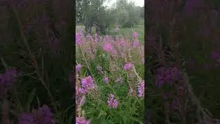 #вера , господь с нами