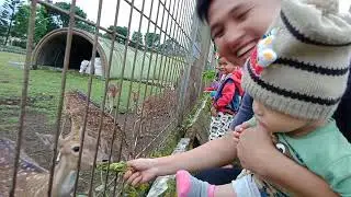 LAHAP!!!Ternyata Rusa disini pada lapar dan rakus