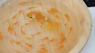 Resin Fish Painting Tutorial Day 10