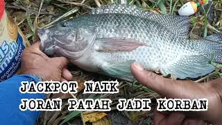 MENAKLUKAN JACKPOT SAMPE JORAN PATAH JADI KORBAN